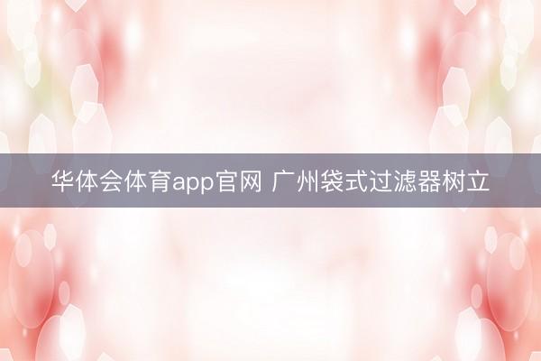 华体会体育app官网 广州袋式过滤器树立